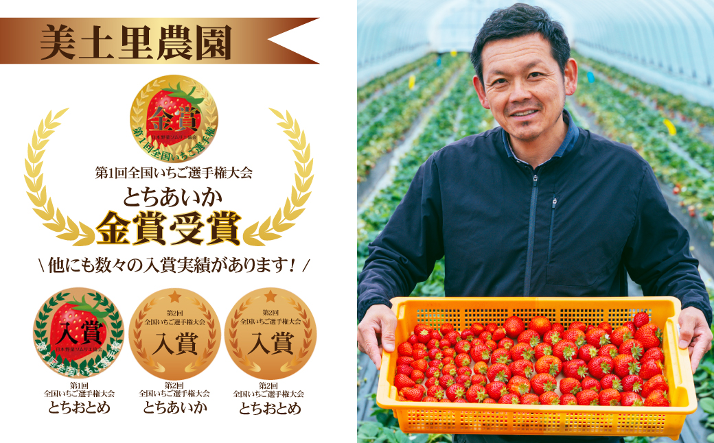 【先行受付：3月以降発送】いちご 「茂木完熟いちご」　美土里農園の朝採れ とちあいか レギュラーサイズ 約270g × 4パック 合計 約1080g | いちご イチゴ 苺 とちあいか 完熟 果物 フルーツ くだもの 旬 産地直送 栃木県産 美土里農園 栃木県 茂木町