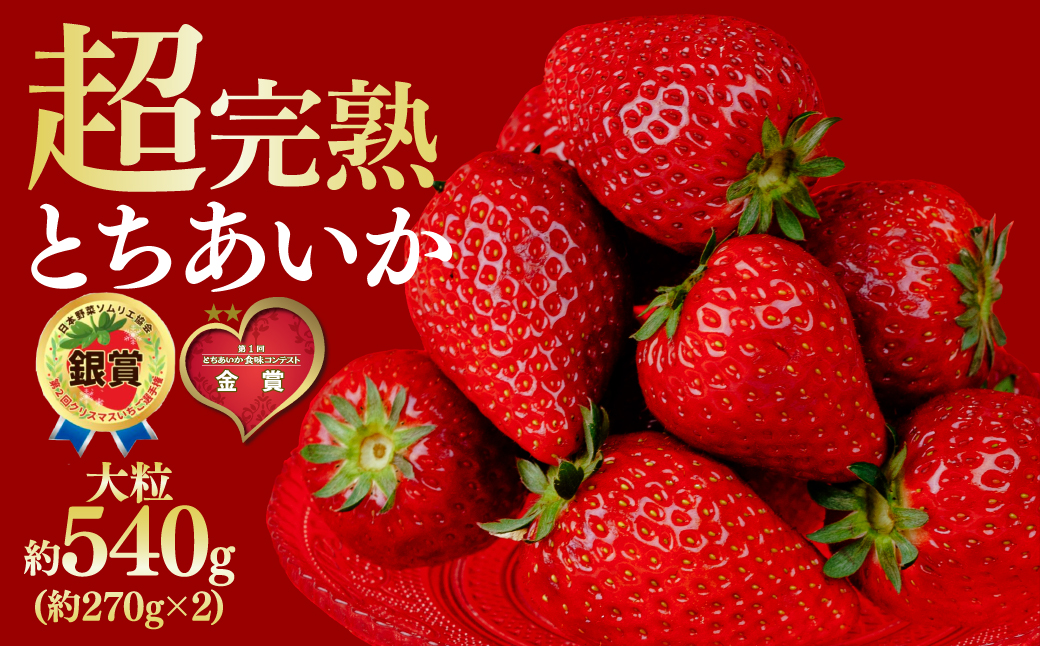 【先行受付：3月以降発送】いちご 鈴木ファームの とちあいか 大粒 約270g × 2パック 合計 約540g | いちご イチゴ 苺 とちあいか 完熟 果物 フルーツ くだもの 旬 産地直送 栃木県産 鈴木ファーム 栃木県 茂木町