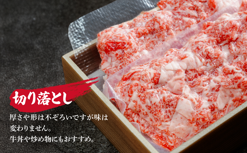 とちぎ和牛の切り落とし 600g（200g×3）【栃木県共通返礼品】 | 牛肉 肉 お肉 産地直送 国産 国産牛 牛丼 和牛 赤身 霜降り 希少 旨味 旨み 熟成 急速冷凍 テクニカン テクニカン社 スキンパック 真空パック 真空包装 コトラミートカルチャ 栃木県 茂木町