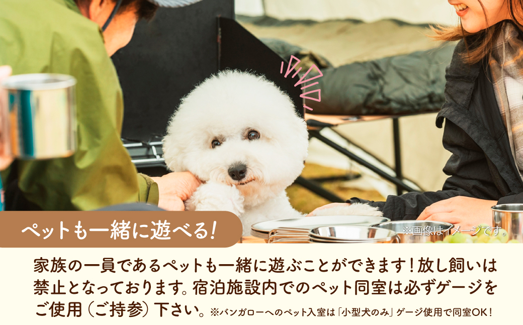 那珂川ステーション キャンプ・バンガロー補助券 3,000円分 |  キャンプ バンガロー 宿泊 宿 那珂川 清流 川下り ダウンリバー オートキャンプ那珂川ステーション 栃木県 茂木町