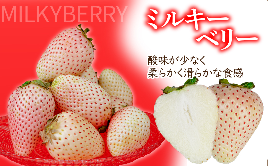 ãå
è¡åä»ïŒ3æä»¥éçºéãéŽæšãã¡ãŒã å³éžãå¹»ã®ãã«ããŒããªãŒãã®ãã900g(450gÃ2ç®±) | ãã¡ã ã€ããŽ èº ãã«ããŒããªãŒ ãã«ã㌠å®ç æç© ãã«ãŒã çã ããŸãèŽççš ã®ãã ãã¬ãŒã³ã éŽæšãã¡ãŒã æ æšç èæšçº