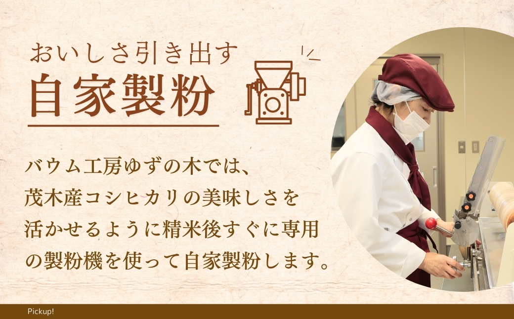 バウムクーヘン 茂木町産米粉100%使用 チーズインバウム 10個 | バームクーヘン スイーツ コシヒカリ 米粉 チーズ ブルーベリー グルテンフリー 発酵 バター コーヒー ベイクドチーズケーキ 洋菓子 ヌン活 お菓子 ギフト 贈答用 プレゼント 箱詰め 箱入り 詰め合せ 濃厚 紅茶 冷凍 酸味 地元産 もちもち 道の駅 もてぎプラザ 栃木県 茂木町