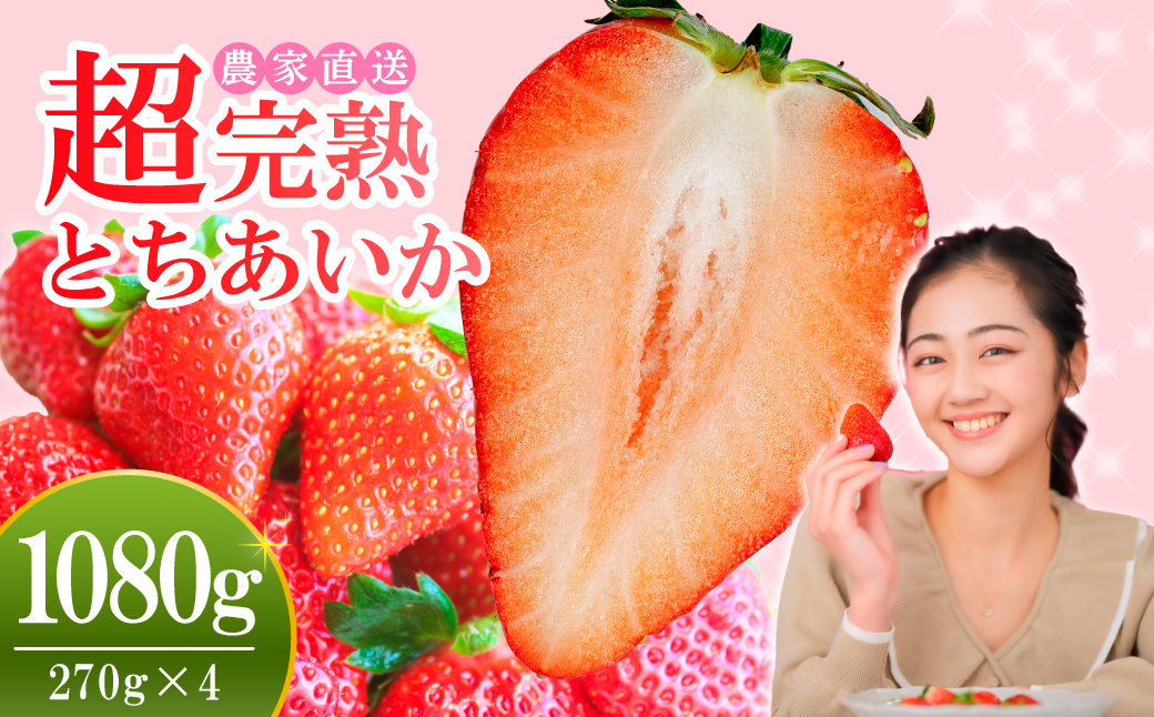 【先行受付：3月以降発送】いちご 小島さんちの完熟 とちあいか レギュラーサイズ 約270g×4パック 合計 約1080g | いちご イチゴ 苺 とちあいか 完熟 大粒 果物 フルーツ くだもの あまい 甘い 産地直送 栃木県産 小島いちご園 栃木県 茂木町