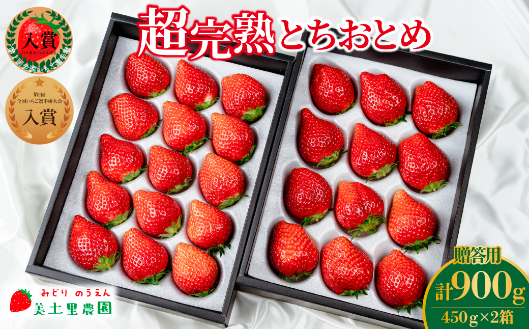 【先行受付：2月以降発送】いちご「茂木完熟いちご」　美土里農園の朝採れ とちおとめ ギフト 450g×2箱 合計 900g | いちご イチゴ 苺 とちおとめ 完熟 甘い あまい 果物 フルーツ 贈答 ギフト プレゼント 美土里農園 栃木県 茂木町