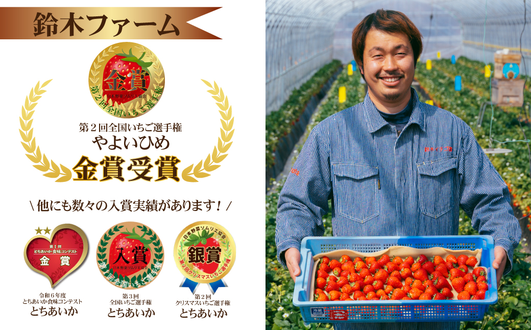 【先行受付：3月以降発送】いちご 鈴木ファームの完熟＆朝どれ とちあいか ギフト900g(450g × 2箱） | いちご イチゴ 苺 とちあいか とちおとめ 完熟 甘い あまい 果物 フルーツ 鈴木ファーム 栃木県 茂木町