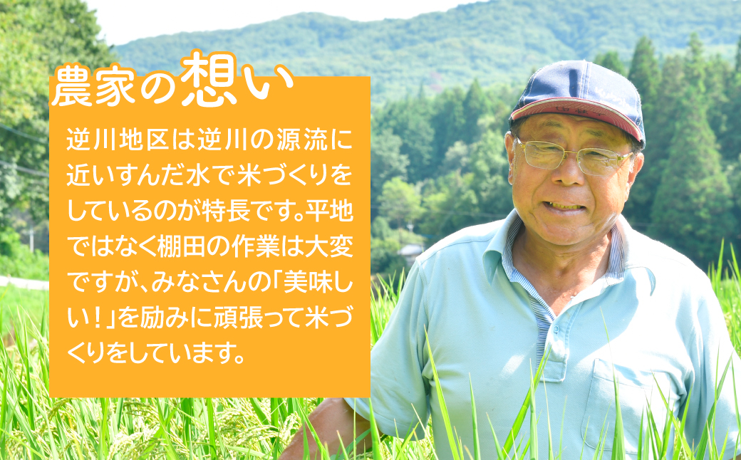お米マイスター厳選!＜令和7年産＞茂木百騎米 精米 10kg（5kg×2袋） | コシヒカリ こしひかり おこめ 令和7年産 ライスパーラーかわかみ 栃木県 茂木町