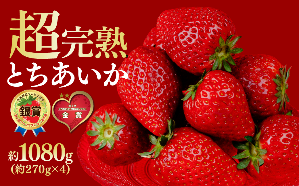 【先行受付：3月以降発送】いちご 鈴木ファームの完熟＆朝採り とちあいか レギュラーサイズ 約270g × 4パック 合計1080g | いちご イチゴ 苺 とちあいか とちおとめ 完熟 甘い あまい 果物 フルーツ くだもの 旬 産地直送 栃木県産 鈴木ファーム 栃木県 茂木町