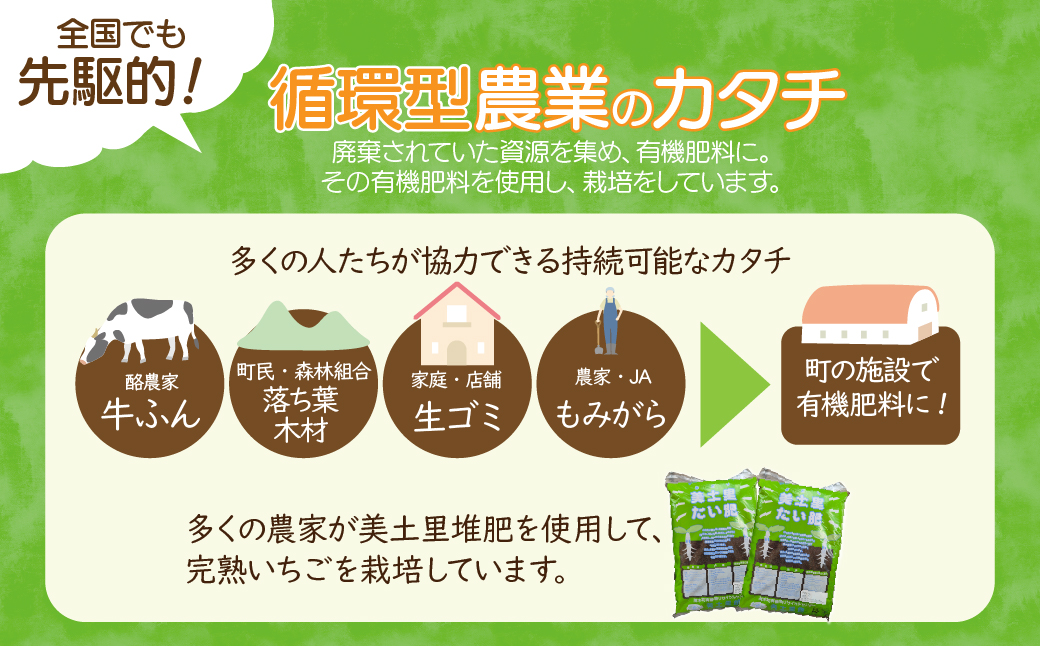 【先行受付：2月以降発送】いちご 「茂木完熟いちご」　矢野農園の とちおとめ レギュラーサイズ 約270g × 4パック 合計 約1080g | いちご イチゴ 苺  とちおとめ 完熟 果物 フルーツ 甘い あまい くだもの 旬 産地直送 栃木県産 矢野農園 栃木県 茂木町