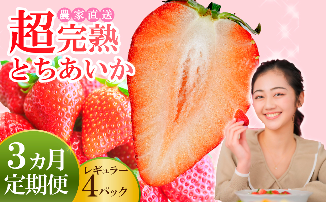【先行受付：1月中旬以降発送】＜3回定期便＞いちご 小島さんちの完熟 とちあいか レギュラーサイズ 約270g×4パック 合計 約1080g | いちご イチゴ 苺 とちあいか 完熟 大粒 果物 フルーツ くだもの あまい 甘い 産地直送 栃木県産 小島いちご園 栃木県 茂木町