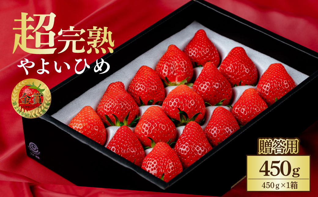 【先行受付：3月以降発送】いちご 鈴木ファームの朝摘み やよいひめ ギフト 450g×1箱 | いちご イチゴ 苺 とちあいか 完熟 甘い あまい 果物 フルーツ 贈答 ギフト プレゼント 鈴木ファーム 栃木県 茂木町