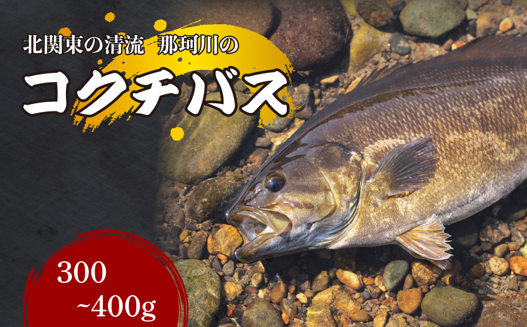 コクチバス 北関東の清流「那珂川産」300〜400g 冷凍 | コクチバス 天然 鮮魚 川魚 釣り 新鮮 北関東 清流 唐揚げ から揚げ 素揚げ 塩焼き 炭火焼 外来魚 特定外来生物 未利用魚 Riverline 栃木県 茂木町