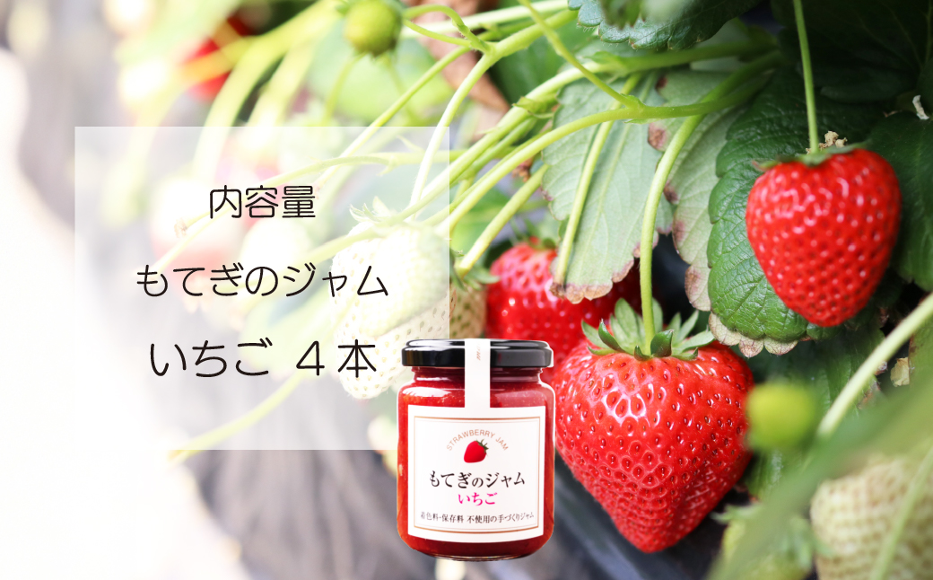 茂木産いちごを100％使用！いちごジャム 160g×4本 保存料・着色料・香料不使用| いちご イチゴ 苺 果実 フルーツ 手作り 果肉 朝食 トースト パン ヨーグルト 詰め合わせ 保存料 着色料 不使用 おいしい 美味しい 茂木産 もてぎプラザ 栃木県 茂木町