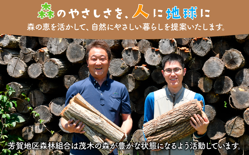 ãåŒãåãéå®ãèæšçºç£ 也ç¥èª ãã©&ã¯ã㮠軜ãã©1å°å çŽ350kg | ãã ãŸã 楢 æ€ ãªã ãã¬ã ãã£ã³ã æš æšæ èªã¹ããŒã æç çæ ããŒããã¥ãŒ ã¢ãŠãã㢠åºèæš¹ ãã£ã³ã ã¢ãŠãã㢠çç« çãç« æ æšç èæšçº