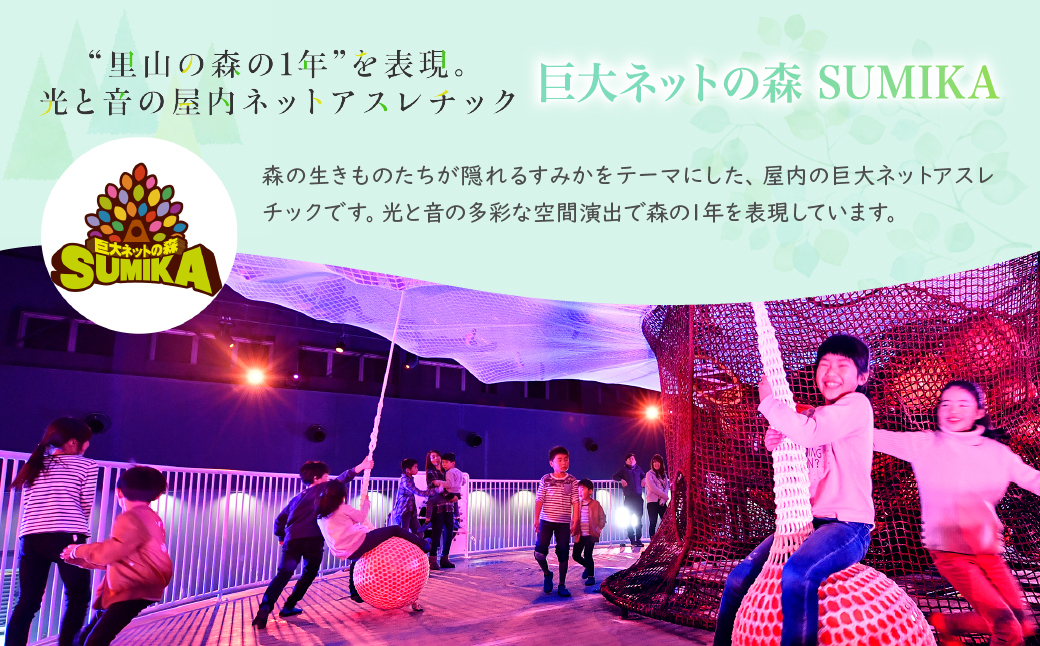 モビリティリゾートもてぎ 入場+パークパスポート（幼児１名分） | パーク アスレチック テーマパーク ジップライン キャンプ アトラクション 森 立体迷路 迷路 クルマ バイク 巨大ネット カート バイク バーベキュー 自然体験 夏休み 親子 遊ぶ 子連れ 森遊び サーキット ホンダモビリティ 栃木県 茂木町