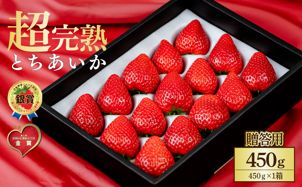 【先行受付：1月中旬以降発送】いちご 鈴木ファームの完熟＆朝どれ とちあいか ギフト450g×1箱 | いちご イチゴ 苺 とちあいか 完熟 甘い あまい 果物 フルーツ 贈答用 ギフト プレゼント 鈴木ファーム 栃木県 茂木町