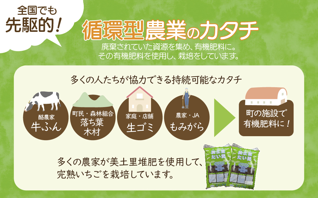 【先行受付：1月中旬以降発送】＜3回定期便＞いちご 小島さんちの完熟 とちあいか レギュラーサイズ 約270g×4パック 合計 約1080g | いちご イチゴ 苺 とちあいか 完熟 大粒 果物 フルーツ くだもの あまい 甘い 産地直送 栃木県産 小島いちご園 栃木県 茂木町
