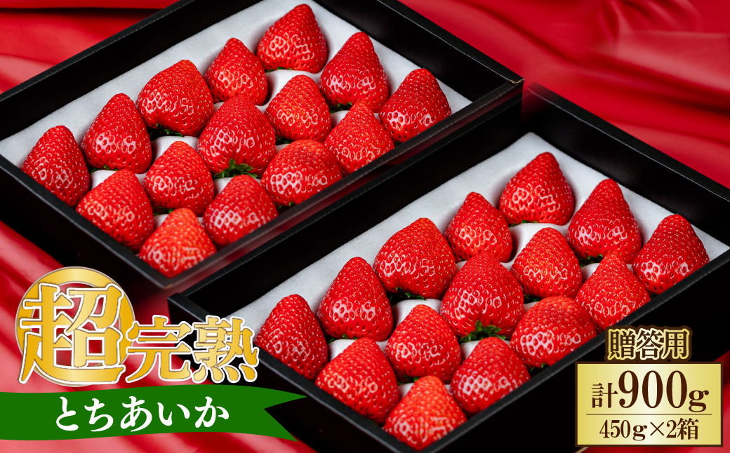 【先行受付：3月以降発送】いちご 小島さんちの完熟 とちあいか ギフト 約450g×2パック 合計 約900g | いちご イチゴ 苺 とちあいか 完熟 大粒 果物 フルーツ 贈答 ギフト くだもの あまい 甘い 産地直送 栃木県産 小島いちご園 栃木県 茂木町