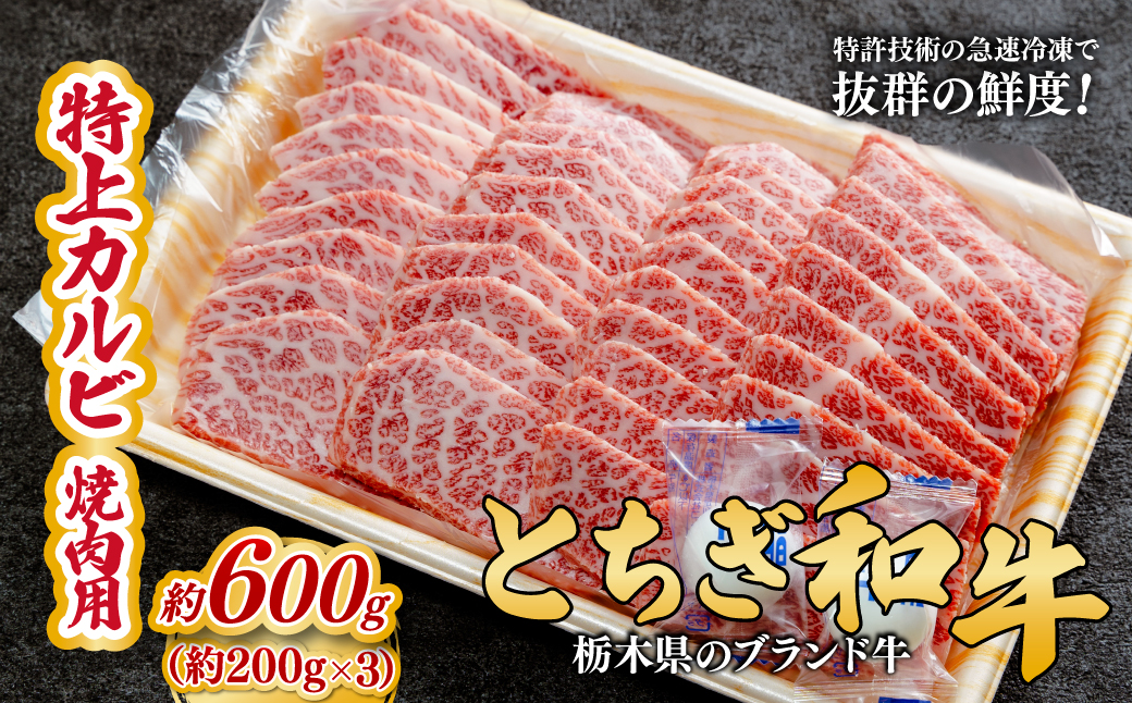 とちぎ和牛の特上カルビ 焼肉用 600g（200g×3）【栃木県共通返礼品】 |  牛肉 肉 お肉 カルビ 特上 バラ肉 焼肉 産地直送 国産 国産牛 和牛 赤身 霜降り 希少 旨味 旨み 熟成 急速冷凍 テクニカン テクニカン社 スキンパック 真空パック 真空包装 コトラミートカルチャ 栃木県 茂木町