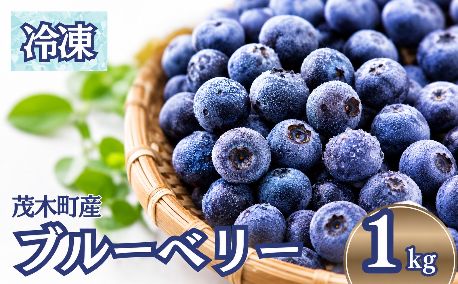 冷凍ブルーベリー もてぎ育ちのブルーベリー 約1kg(約500g×2)|  ブルーベリー ぶるーべりー 冷凍ブルーベリー 国産ブルーベリー 栃木県産 茂木町産 ふるさと納税 ブルーベリー 1kg 大容量 完熟 冷凍フルーツ ベリー 果物 ヨーグルト スムージー ジャム 朝食 おやつ デザート 無添加 国産 もてぎプラザ 栃木県 茂木町
