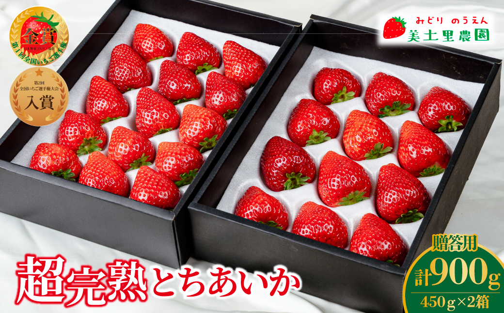 【先行受付：1月中旬以降発送】いちご 「茂木完熟いちご」　美土里農園の朝採れ とちあいか ギフト 450g × 2箱 合計900g  | いちご イチゴ 苺 とちあいか 完熟 果物 フルーツ 美土里農園 栃木県 茂木町