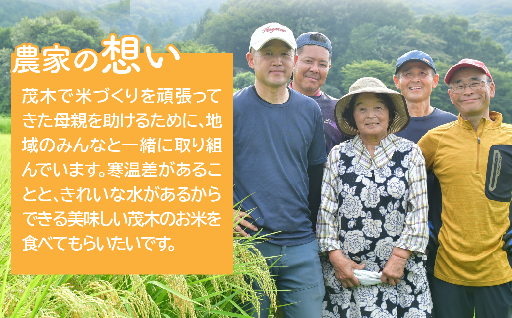 お米マイスター厳選!＜令和7年産＞茂木百騎米 精米 10kg（5kg×2袋） | コシヒカリ こしひかり おこめ 令和7年産 ライスパーラーかわかみ 栃木県 茂木町