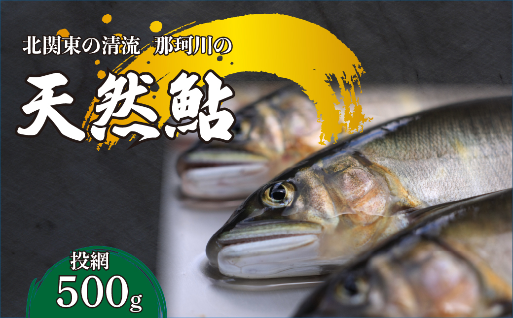 天然鮎(投網漁) 北関東の清流「那珂川産」 500g 真空冷凍 | 鮎 アユ 天然アユ 天然あゆ 魚介 天然 投網 鮮魚 新鮮 北関東 清流 塩焼 炭火焼 茶漬け 天ぷら  Riverline 栃木県 茂木町
