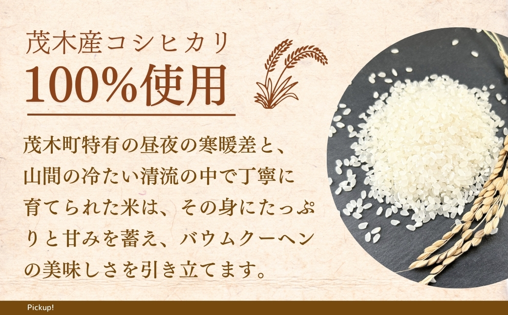バウムクーヘン茂木町産米粉100%使用 チーズ＆ブルーベリーバウムセット 10個(5個×2種) | バームクーヘン スイーツ コシヒカリ 米粉 チーズ ブルーベリー グルテンフリー 発酵 バター コーヒー ベイクドチーズケーキ 洋菓子 ヌン活 お菓子 ギフト 贈答用 プレゼント 箱詰め 箱入り 詰め合せ  濃厚 紅茶 冷凍 酸味 地元産 もちもち 道の駅 もてぎプラザ 栃木県 茂木町
