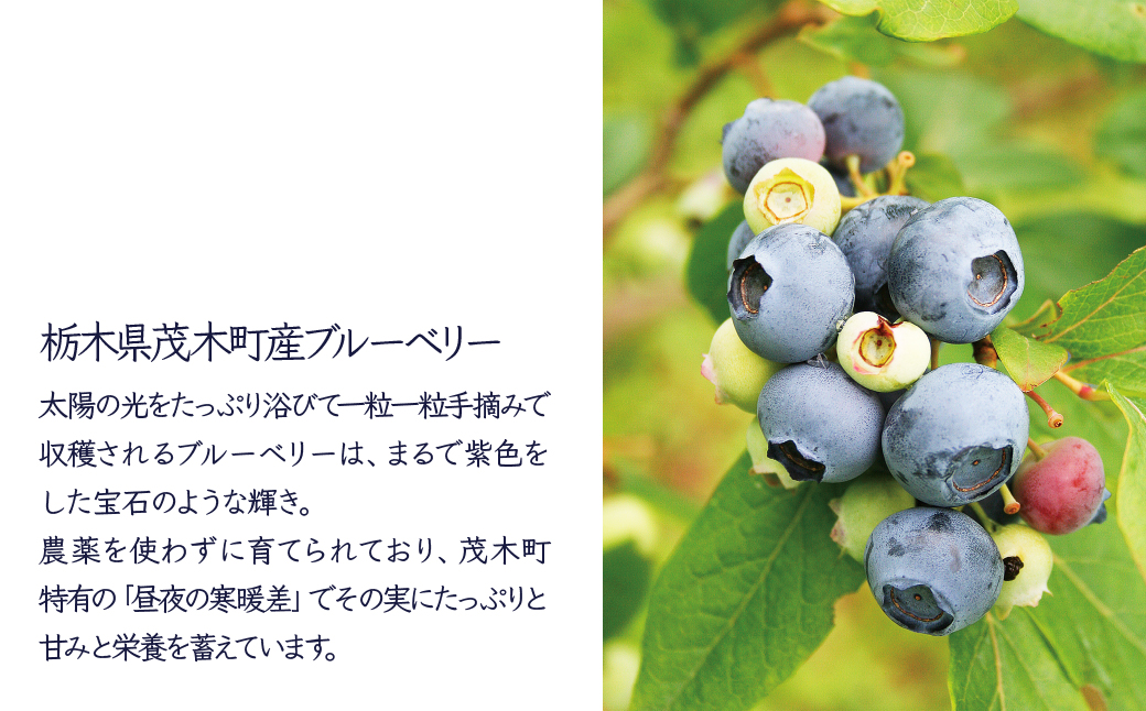 èæšç£ãã«ãŒããªãŒã䜿çšããããã«ãŒããªãŒã¯ã€ã³360mlÃ2æ¬ã»ãã | ã¯ã€ã³ ãã«ãŒããªãŒ èµ€ã¯ã€ã³ ãã«ãŒãã¯ã€ã³ ãã«ãŒã ãã«ãŒãã£ãŒ ãé
é
ã¢ã«ã³ãŒã«7% ãåç£ ãã¬ãŒã³ã ã®ãã èŽãç© å°å
ç£ ææã¿ åç©« æå® ææ± çºé
µ æ©é
家飲㿠ããŠããã©ã¶ æ æšç èæšçº