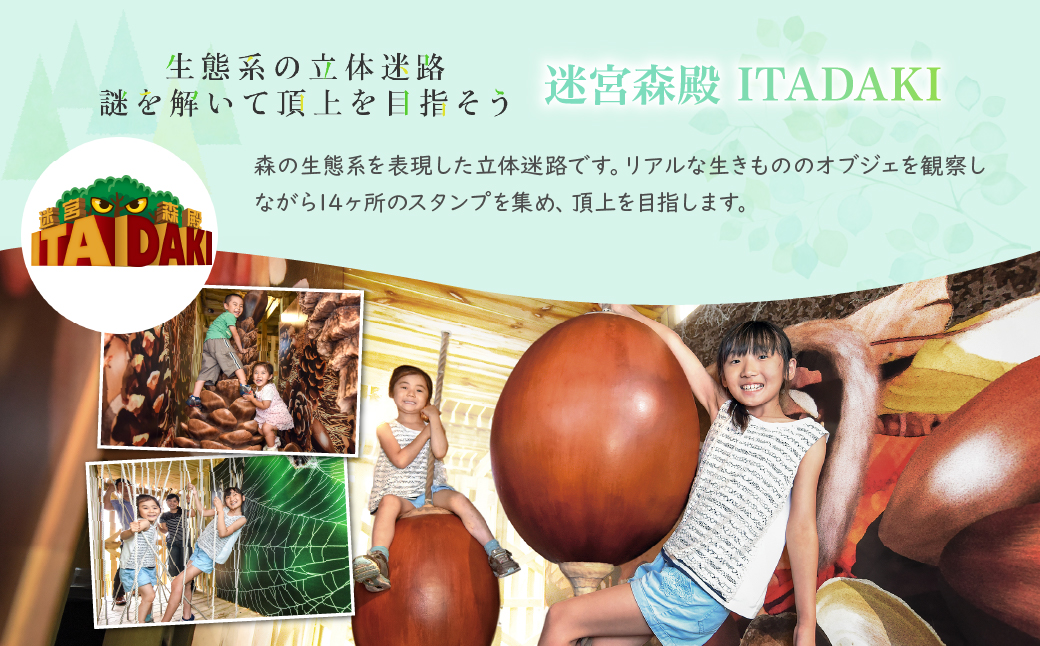 モビリティリゾートもてぎ 入場+パークパスポート（幼児１名分） | パーク アスレチック テーマパーク ジップライン キャンプ アトラクション 森 立体迷路 迷路 クルマ バイク 巨大ネット カート バイク バーベキュー 自然体験 夏休み 親子 遊ぶ 子連れ 森遊び サーキット ホンダモビリティ 栃木県 茂木町