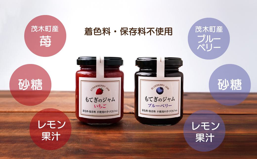 もてぎのベリー&ベリーセット | いちご イチゴ 苺 ブルーベリー 果実 フルーツ 手作り 果肉 朝食 トースト パン ヨーグルト 詰め合わせ 保存料 着色料 不使用 おいしい 美味しい 茂木産 もてぎプラザ 栃木県 茂木町