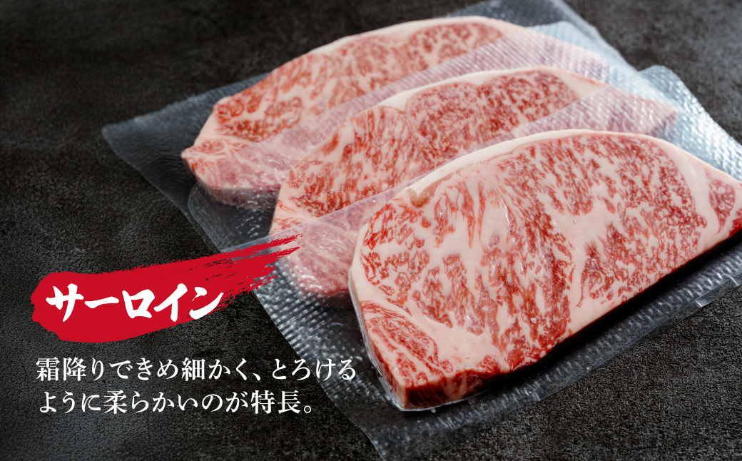 とちぎ和牛の厚切りサーロインステーキ 400ｇ(200ｇ×2枚)【栃木県共通返礼品】 | 牛肉 肉 お肉 厚切り サーロイン ステーキ 柔らかい 産地直送 国産 国産牛 和牛 赤身 霜降り 希少 旨味 旨み 熟成 急速冷凍 テクニカン テクニカン社 スキンパック 真空パック 真空包装 コトラミートカルチャ 栃木県 茂木町