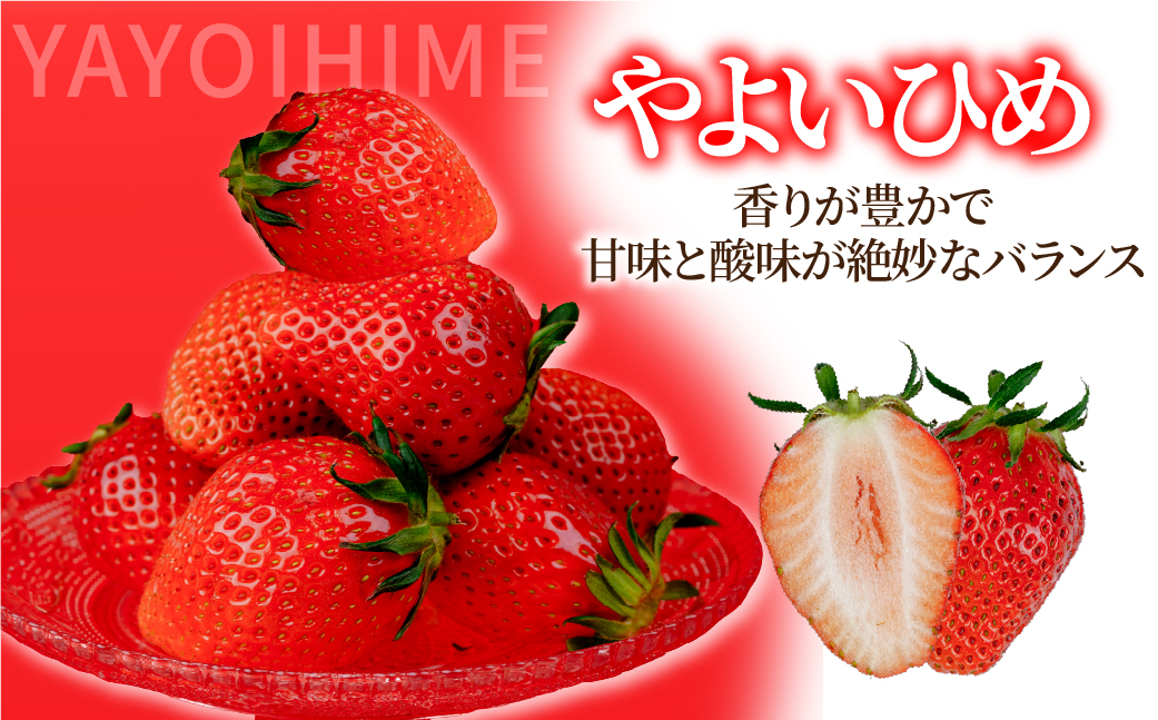 ãå
è¡åä»ïŒ3æä»¥éçºéããã¡ã éŽæšãã¡ãŒã ã®ææã¿ ãããã²ã ã®ããã»ãã900g(450gÃ2ç®±) | ãã¡ã ã€ããŽ èº ãšã¡ããã ãšã¡ããšã å®ç çã ããŸã æç© ãã«ãŒã éŽæšãã¡ãŒã æ æšç èæšçº