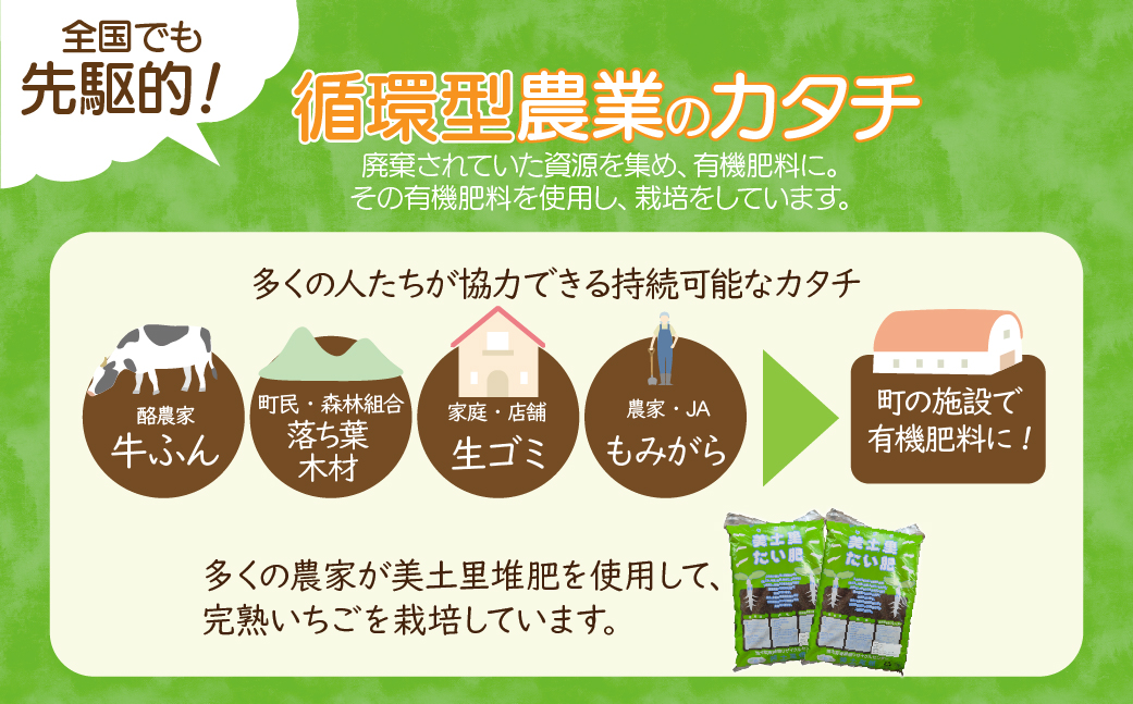 【先行受付：2月以降発送】いちご「茂木完熟いちご」師匠が育てた朝採れとちあいか  レギュラーサイズ 約270g × 4パック 計約1080g | いちご イチゴ 苺 とちあいか 完熟 朝採れ フルーツ 甘い あまい 果物 くだもの 旬 産地直送 栃木県産 関いちご園 栃木県 茂木町 