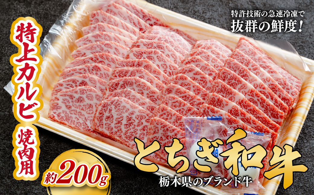 とちぎ和牛の特上カルビ 焼肉用 200g【栃木県共通返礼品】 |  牛肉 肉 お肉 カルビ 特上 バラ肉 焼肉 産地直送 国産 国産牛 和牛 赤身 霜降り 希少 旨味 旨み 熟成 急速冷凍 テクニカン テクニカン社 スキンパック 真空パック 真空包装 コトラミートカルチャ 栃木県 茂木町