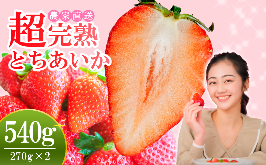【先行受付：2月以降発送】いちご 小島さんちの完熟 とちあいか レギュラーサイズ 約270g×2パック 合計 約540g | いちご イチゴ 苺 とちあいか 完熟 大粒 果物 フルーツ くだもの あまい 甘い 産地直送 栃木県産 小島いちご園 栃木県 茂木町