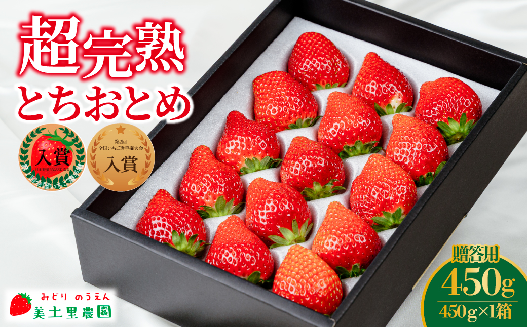 【先行受付：1月中旬以降発送】いちご「茂木完熟いちご」　美土里農園の朝採れ とちおとめギフト 450g ×1箱 | いちご イチゴ 苺 とちおとめ 完熟 甘い あまい 果物 フルーツ 贈答 ギフト プレゼント 美土里農園 栃木県 茂木町