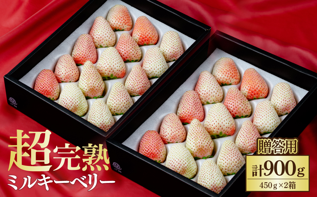 【先行受付：3月以降発送】鈴木ファーム厳選『幻のミルキーベリー』ギフト900g(450g×2箱) | いちご イチゴ 苺 ミルキーベリー ミルキー 完熟 果物 フルーツ 甘い あまい贈答用 ギフト プレゼント 鈴木ファーム 栃木県 茂木町
