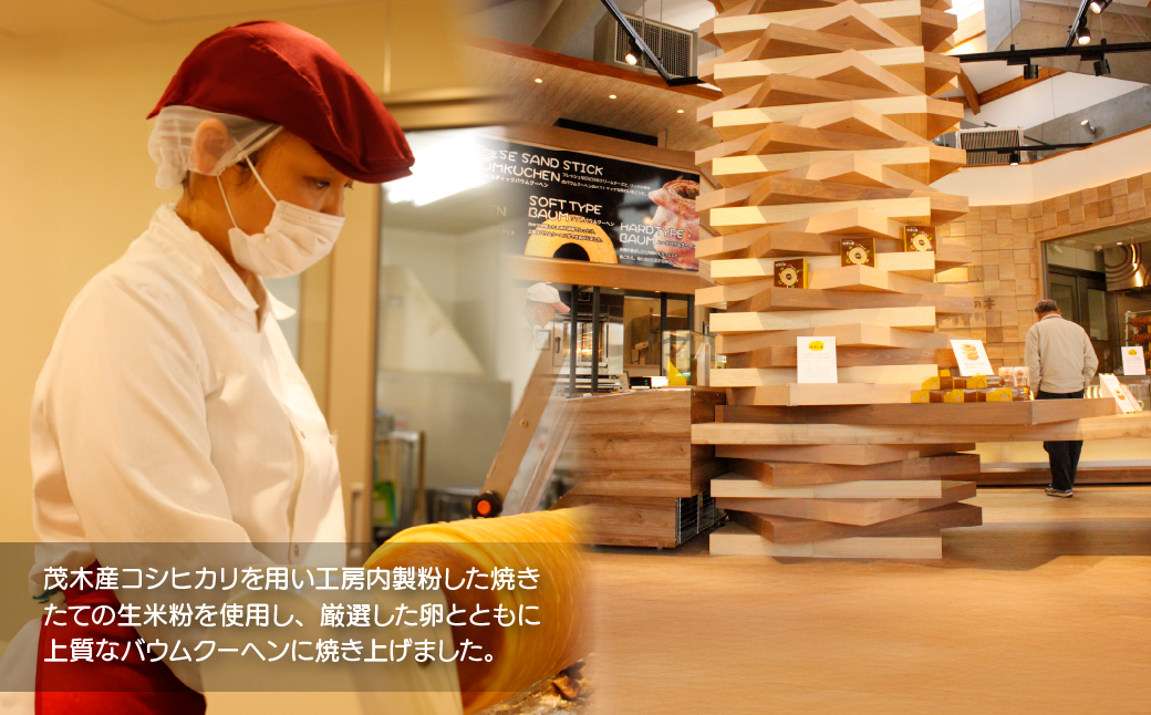 バウムクーヘン 茂木町産米粉100％使用 ハード１個｜ バームクーヘン スイーツ 洋菓子 お菓子 ギフト 贈答用 プレゼント 箱詰め 箱入り コシヒカリ 米粉 発酵 バター コーヒー 紅茶 道の駅 もてぎプラザ 栃木県 茂木町 