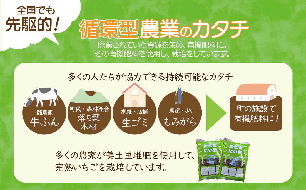 【先行受付：3月以降発送】いちご 鈴木ファームの完熟＆朝どれ とちあいか ギフト900g(450g × 2箱） | いちご イチゴ 苺 とちあいか とちおとめ 完熟 甘い あまい 果物 フルーツ 鈴木ファーム 栃木県 茂木町