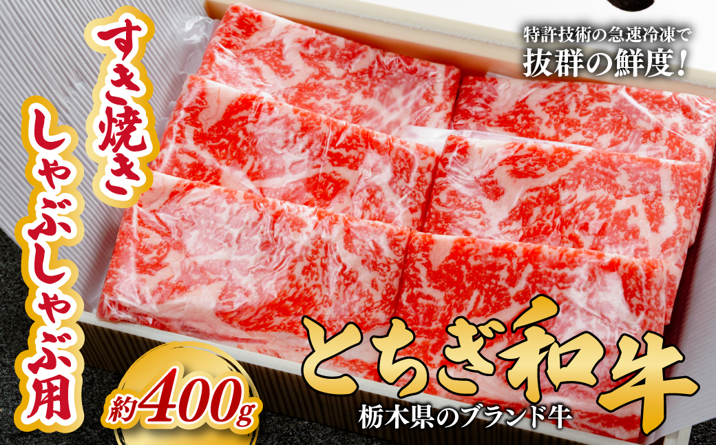 とちぎ和牛のすき焼き・しゃぶしゃぶ用 400g 【栃木県共通返礼品】|  牛肉 肉 お肉 すき焼き しゃぶしゃぶ ロース リブロース 肩ロース 産地直送 国産 国産牛 和牛 赤身 霜降り 希少 旨味 旨み 熟成 急速冷凍 コトラミートカルチャ 栃木県 茂木町