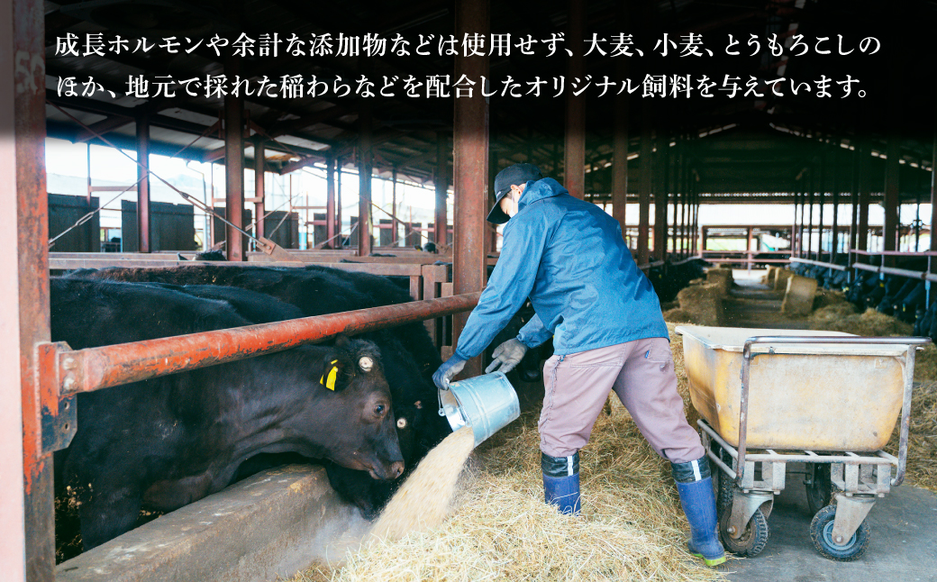 とちぎ和牛の切り落とし 400g（200g×2）【栃木県共通返礼品】 | 牛肉 肉 お肉 産地直送 国産 国産牛 牛丼 和牛 赤身 霜降り 希少 旨味 旨み 熟成 急速冷凍 テクニカン テクニカン社 スキンパック 真空パック 真空包装 コトラミートカルチャ 栃木県 茂木町