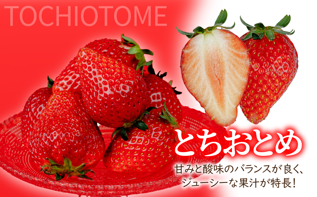 ãå
è¡åä»ïŒ2æä»¥éçºéããã¡ã ãèæšå®çãã¡ãããçŸåé蟲åã®ææ¡ã ãšã¡ããšã ã¬ã®ã¥ã©ãŒãµã€ãº çŽ270gÃ4ãã㯠åèš çŽ1080g | ãã¡ã ã€ããŽ èº ãšã¡ããšã å®ç çã ããŸã å
¥è³ æç© ãã«ãŒã ãã ãã® æ¬ ç£å°çŽé æ æšçç£ çŸåéèŸ²å æ æšç èæšçº