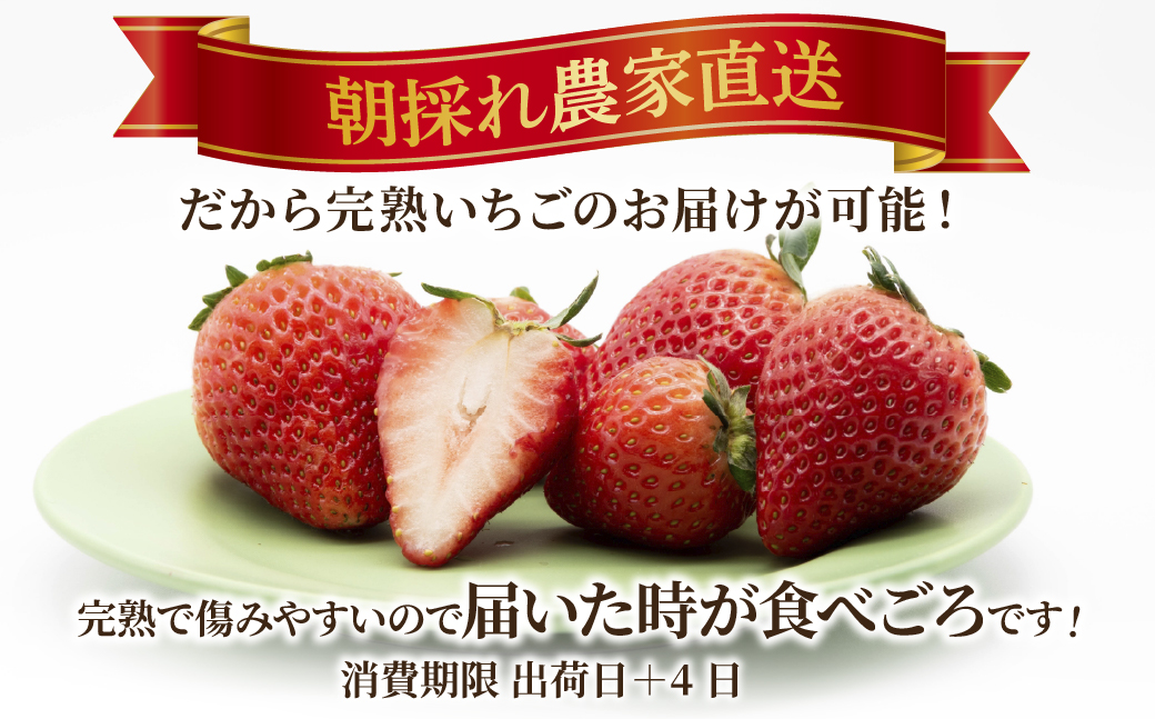 ãå
è¡åä»ïŒ1æäžæ¬ä»¥éçºéãïŒ3åå®æäŸ¿ïŒãã¡ã å°å³¶ããã¡ã®å®ç ãšã¡ããã å€§ç² çŽ270gÃ4ãã㯠åèš çŽ1080g | ãã¡ã ã€ããŽ èº ãšã¡ããã å®ç å€§ç² æç© ãã«ãŒã ãã ãã® çã ããŸã ç£å°çŽé æ æšçç£ å°å³¶ãã¡ãå æ æšç èæšçº