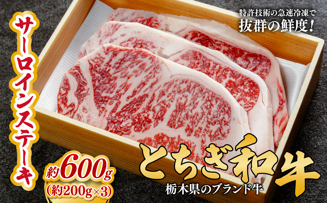とちぎ和牛の厚切りサーロインステーキ 600ｇ(200ｇ×3枚)【栃木県共通返礼品】 | 牛肉 肉 お肉 厚切り サーロイン ステーキ 柔らかい 産地直送 国産 国産牛 和牛 赤身 霜降り 希少 旨味 旨み 熟成 急速冷凍 テクニカン テクニカン社 スキンパック 真空パック 真空包装 コトラミートカルチャ 栃木県 茂木町