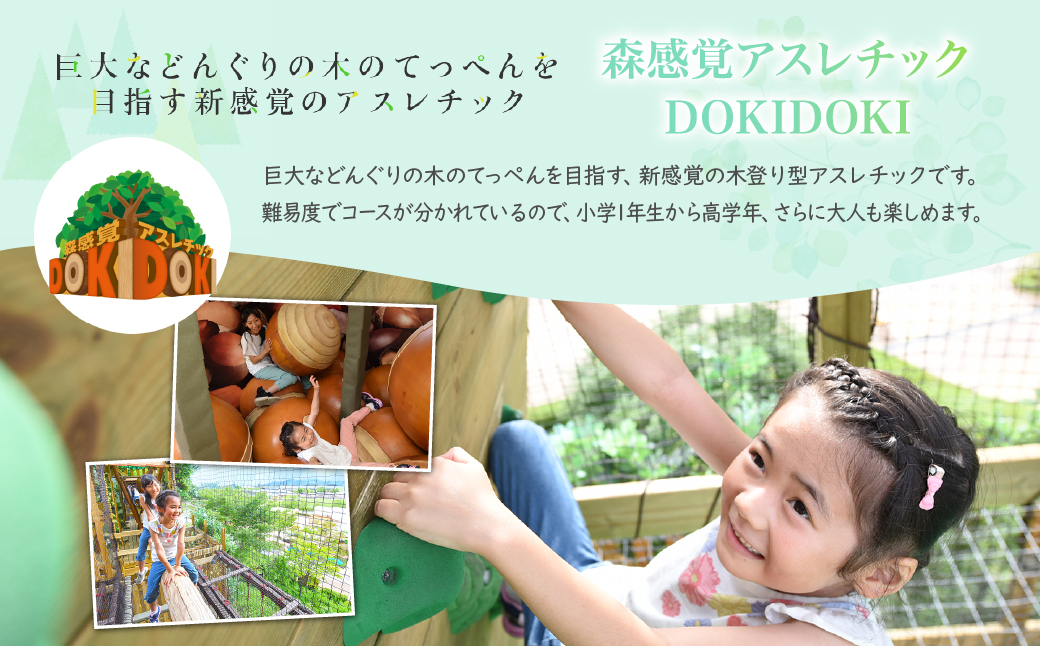 モビリティリゾートもてぎ 入場+パークパスポート（こども１名分） | パーク アスレチック テーマパーク ジップライン キャンプ アトラクション 森 立体迷路 迷路 クルマ バイク 巨大ネット カート バイク バーベキュー 自然体験 夏休み 親子 遊ぶ 子連れ 森遊び サーキット ホンダモビリティ 栃木県 茂木町