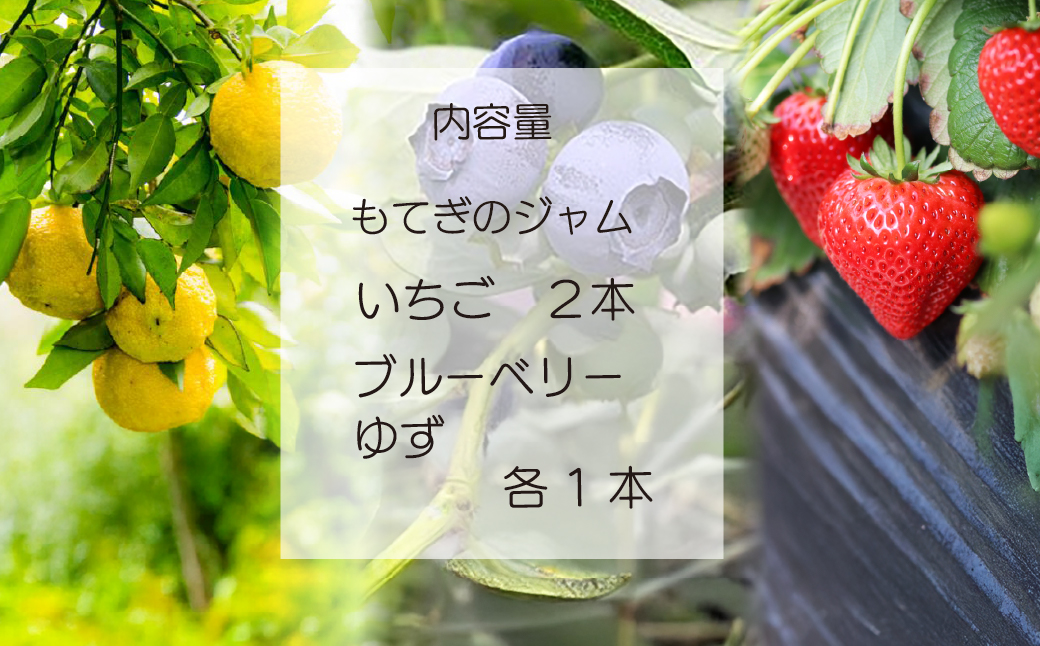 茂木産果実100％使用！ イチゴ＆ブルーベリー＆ゆずジャム 160g×4本  保存料・着色料・香料不使用 | いちご イチゴ 苺 ブルーベリー ゆず 柚子 果実 フルーツ 手作り 果肉 朝食 トースト パン ヨーグルト 詰め合わせ 保存料 着色料 不使用 おいしい 美味しい 茂木産 もてぎプラザ 栃木県 茂木町