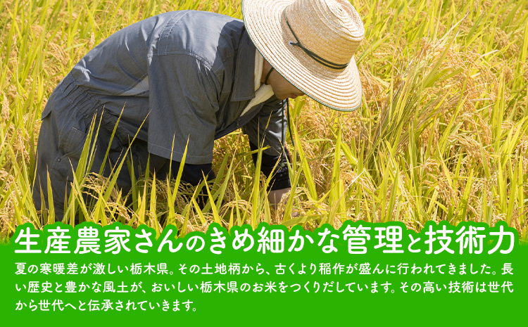 【3ヶ月定期便】米 栃木 ふるさと米 白米 5kg《申込月の翌月から出荷開始》栃木県 野木町 米 白米 精米 国産 お米 おこめ お弁当 おにぎり【栃木県共通返礼品】