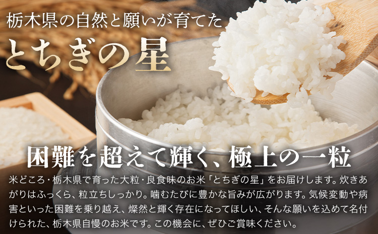 莉、蜥7蟷エ逕」 邀ウ 縺顔アウ 縺ィ縺。縺弱ョ譏 3繝カ譛亥ョ壽悄萓ソ 5kg JA縺翫d縺セ縲30譌・莉・蜀縺ォ蜃コ闕キ莠亥ョ(蝨滓律逾晞勁縺)縲 譬譛ィ逵 驥取惠逕コ逕」 繧ウ繝。 邀ウ 繝悶Λ繝ウ繝臥アウ 縺ィ縺。縺弱ョ縺サ縺励先譛ィ逵悟ア騾夊ソ皮、シ蜩√