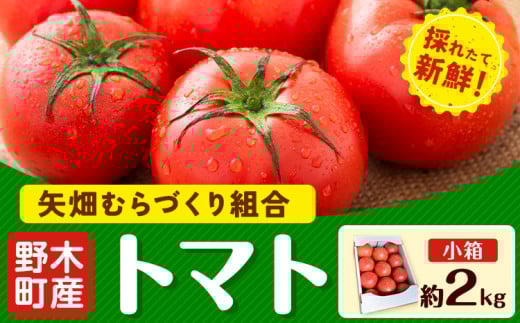 トマト 約2kg 小箱 栃木県 野木町産 矢畑むらづくり組合 《2025年10月上旬-2026年6月下旬頃出荷》栃木県 野木町 トマト 野菜 新鮮