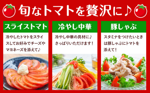 トマト 約2kg 小箱 栃木県 野木町産 矢畑むらづくり組合 《2025年10月上旬-2026年6月下旬頃出荷》栃木県 野木町 トマト 野菜 新鮮